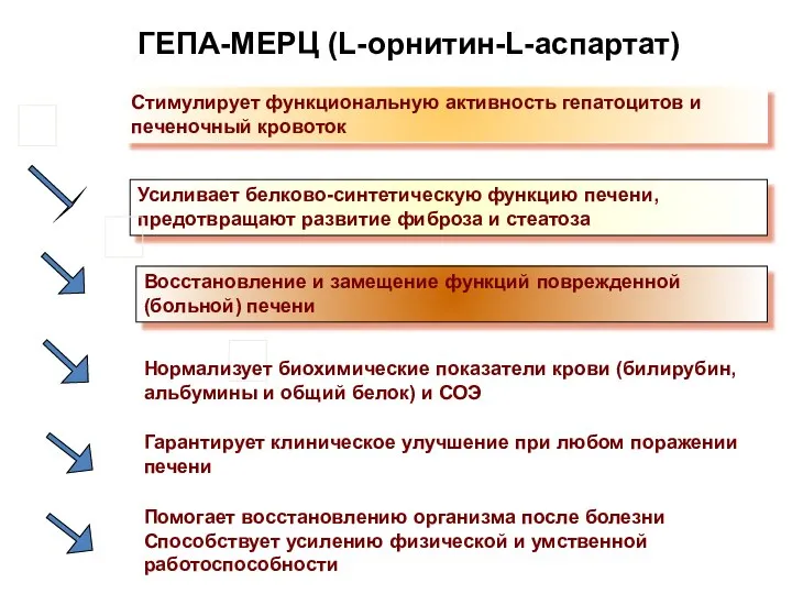 Усиливает белково-синтетическую функцию печени, предотвращают развитие фиброза и стеатоза Стимулирует функциональную