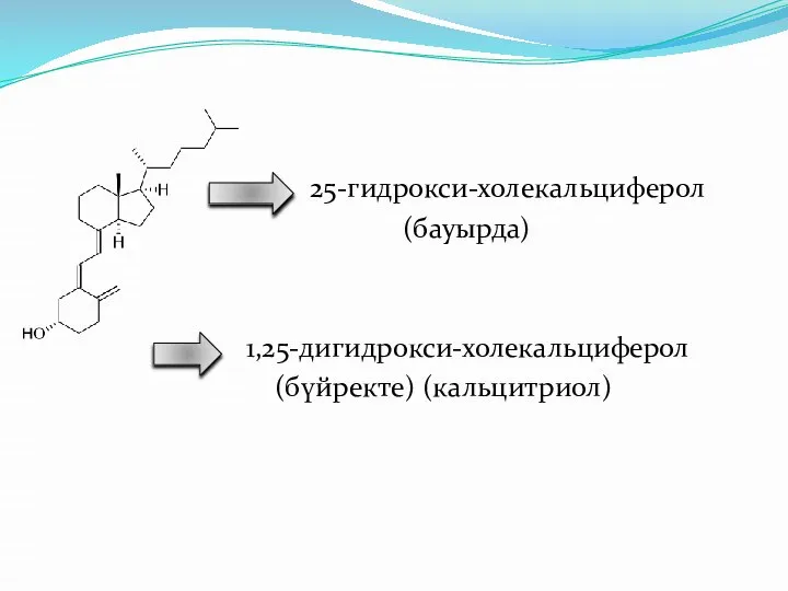 25-гидрокси-холекальциферол (бауырда) 1,25-дигидрокси-холекальциферол (бүйректе) (кальцитриол)