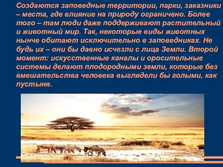 Создаются заповедные территории, парки, заказники – места, где влияние на природу