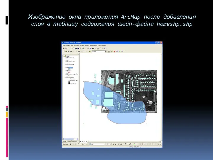 Изображение окна приложения ArcMap после добавления слоя в таблицу содержания шейп-файла homeshp.shp