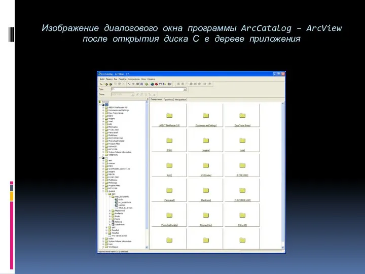Изображение диалогового окна программы ArcCatalog – ArcView после открытия диска С в дереве приложения