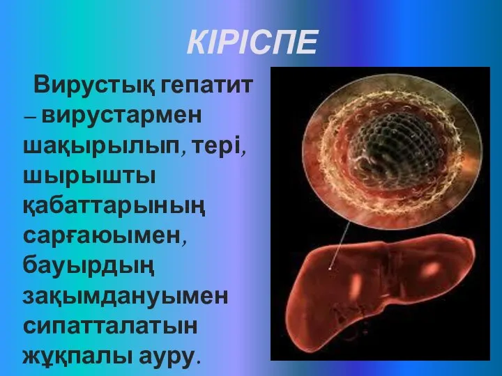 КІРІСПЕ Вирустық гепатит – вирустармен шақырылып, тері, шырышты қабаттарының сарғаюымен, бауырдың зақымдануымен сипатталатын жұқпалы ауру.