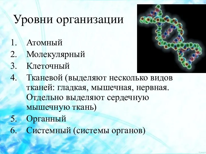 Уровни организации Атомный Молекулярный Клеточный Тканевой (выделяют несколько видов тканей: гладкая,
