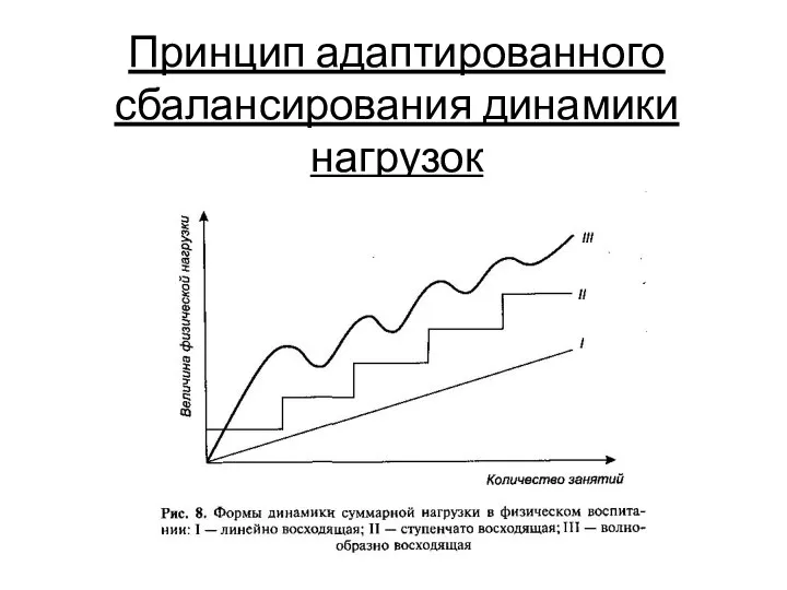 Принцип адаптированного сбалансирования динамики нагрузок