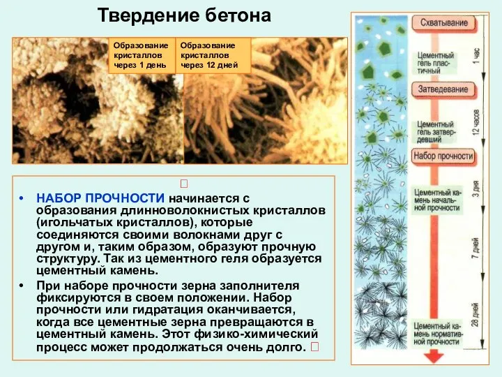 ? НАБОР ПРОЧНОСТИ начинается с образования длинноволокнистых кристаллов (игольчатых кристаллов), которые