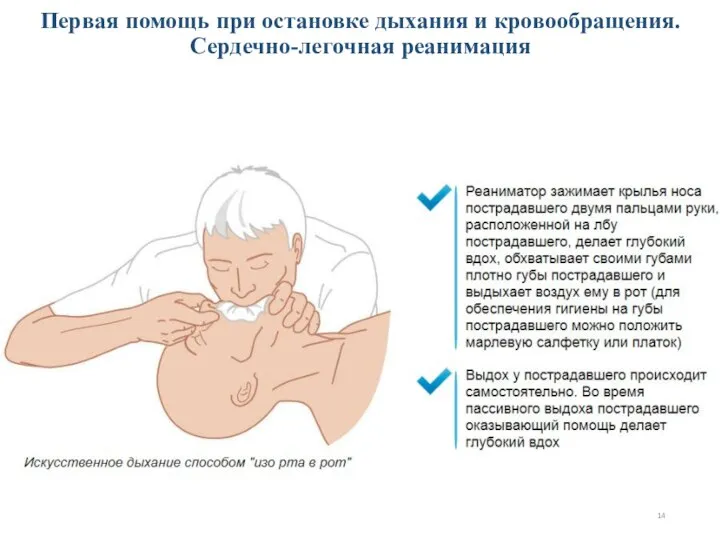 Первая помощь при остановке дыхания и кровообращения. Сердечно-легочная реанимация