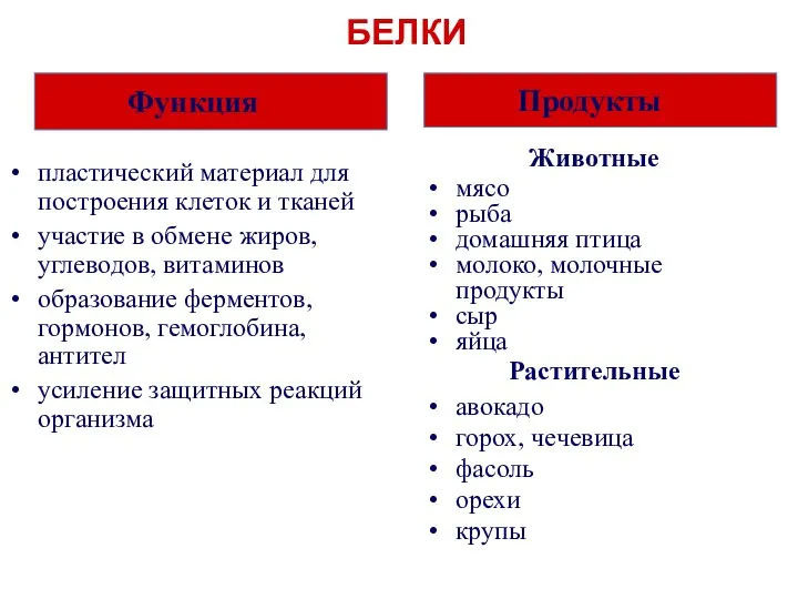 БЕЛКИ пластический материал для построения клеток и тканей участие в обмене