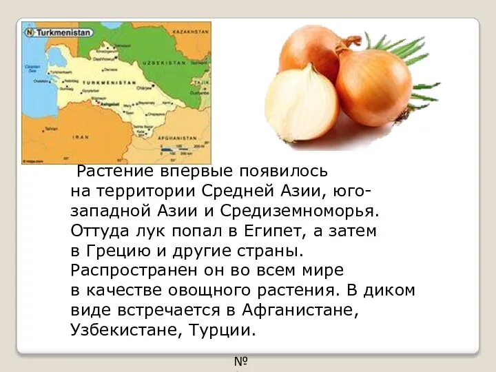 Растение впервые появилось на территории Средней Азии, юго-западной Азии и Средиземноморья.