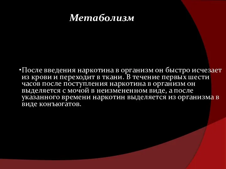 После введения наркотина в организм он быстро исчезает из крови и