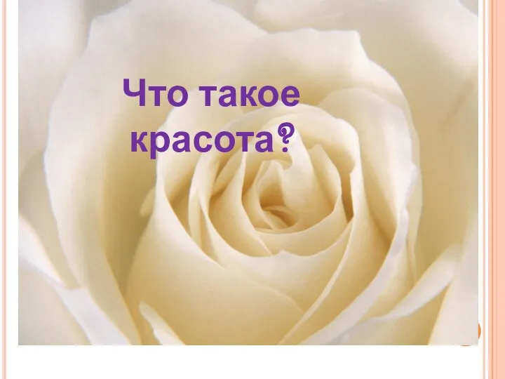 Что такое красота?