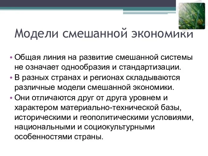 Модели смешанной экономики Общая линия на развитие смешанной системы не означает