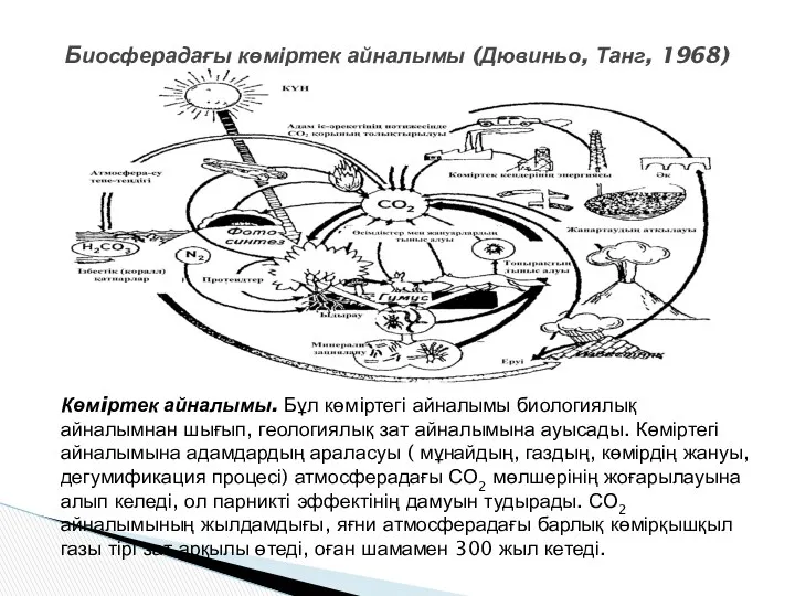 Биосферадағы көміртек айналымы (Дювиньо, Танг, 1968) Көмiртек айналымы. Бұл көмiртегі айналымы