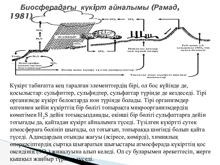 Биосферадағы күкiрт айналымы (Рамад, 1981) Күкiрт табиғатта кең таралған элементтердiң бiрi,