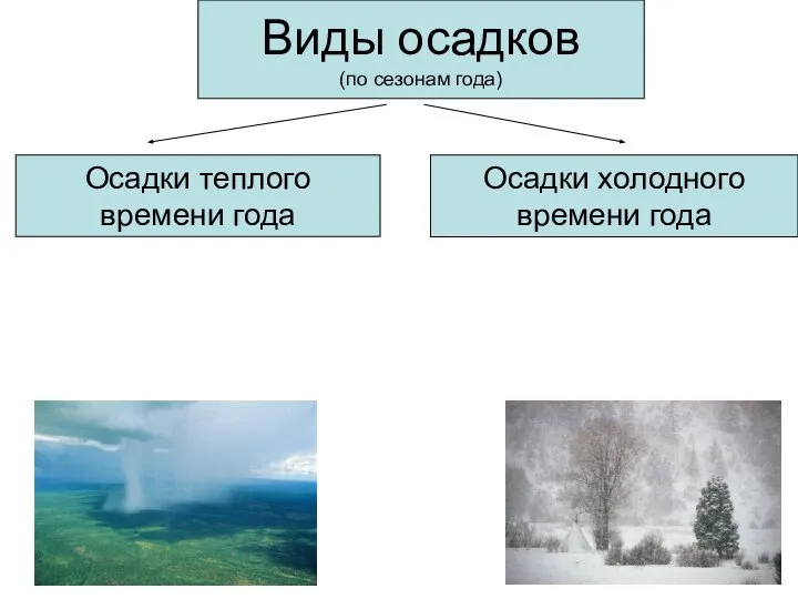 Виды осадков (по сезонам года) Осадки теплого времени года Осадки холодного времени года