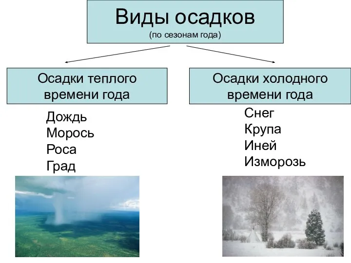 Виды осадков (по сезонам года) Осадки теплого времени года Осадки холодного