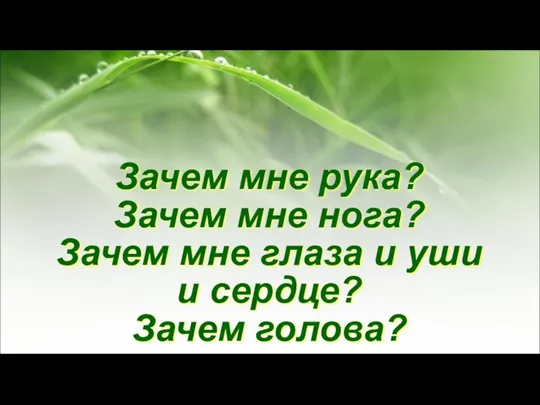 Зачем мне рука? Зачем мне нога? Зачем мне глаза и уши и сердце? Зачем голова?