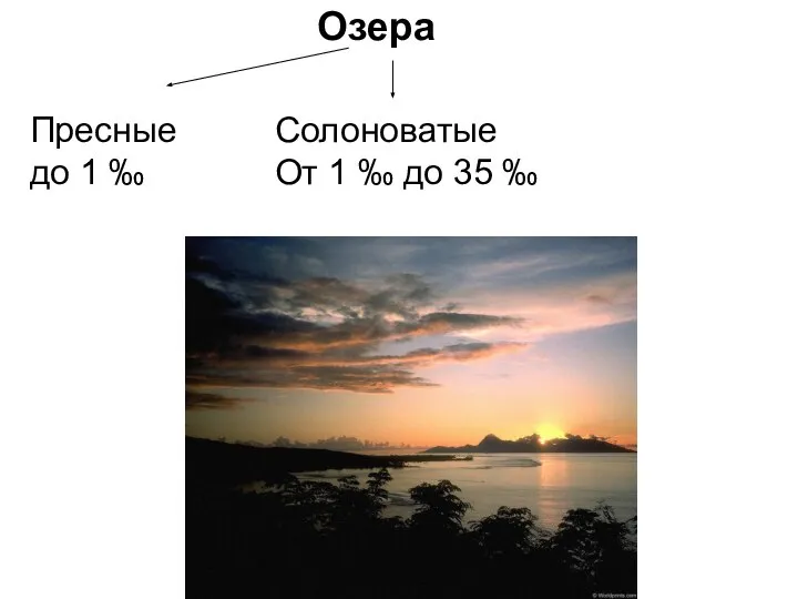 Озера Пресные до 1 ‰ Солоноватые От 1 ‰ до 35 ‰