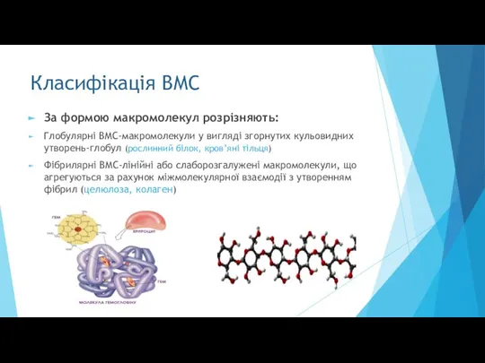 Класифікація ВМС За формою макромолекул розрізняють: Глобулярні ВМС-макромолекули у вигляді згорнутих