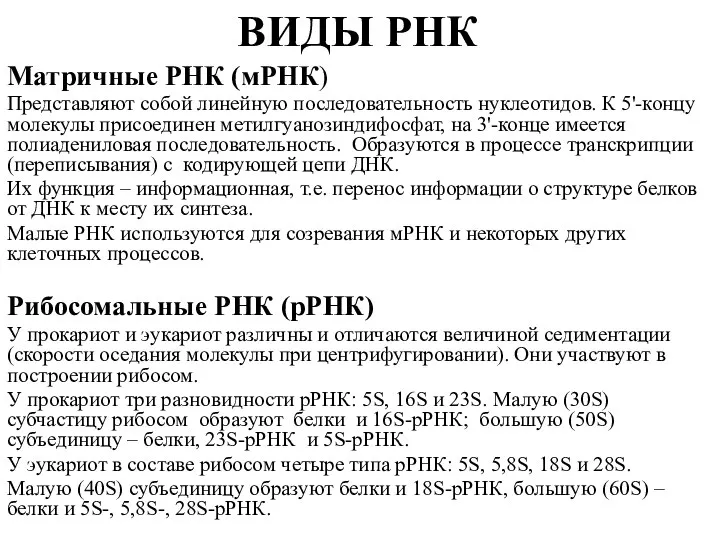 ВИДЫ РНК Матричные РНК (мРНК) Представляют собой линейную последовательность нуклеотидов. К