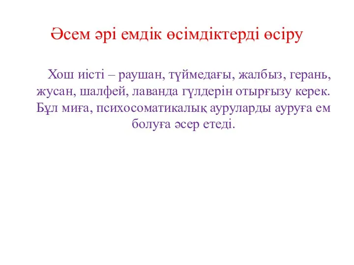 Әсем әрі емдік өсімдіктерді өсіру Хош иісті – раушан, түймедағы, жалбыз,