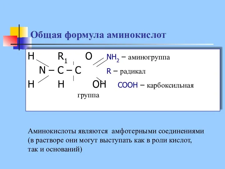 Общая формула аминокислот H R1 O NH2 – аминогруппа N –