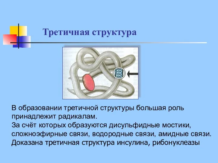 В образовании третичной структуры большая роль принадлежит радикалам. За счёт которых