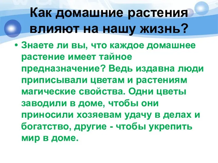 Как домашние растения влияют на нашу жизнь? Знаете ли вы, что