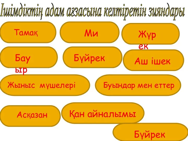 Ішімдіктің адам ағзасына келтіретін зияндары Тамақ Ми Жүрек Бүйрек Жыныс мүшелері