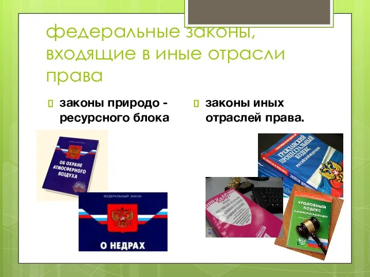 федеральные законы, входящие в иные отрасли права законы природо -ресурсного блока законы иных отраслей права.