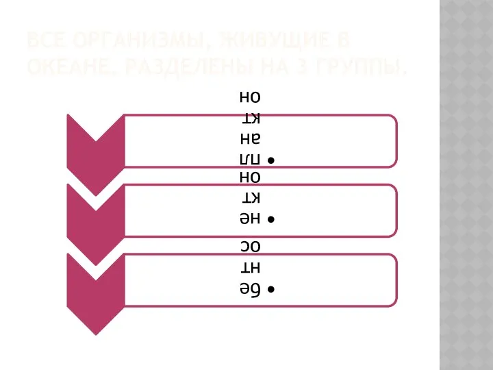 ВСЕ ОРГАНИЗМЫ, ЖИВУЩИЕ В ОКЕАНЕ, РАЗДЕЛЕНЫ НА 3 ГРУППЫ.