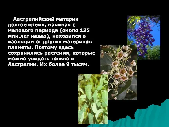 Австралийский материк долгое время, начиная с мелового периода (около 135 млн.лет