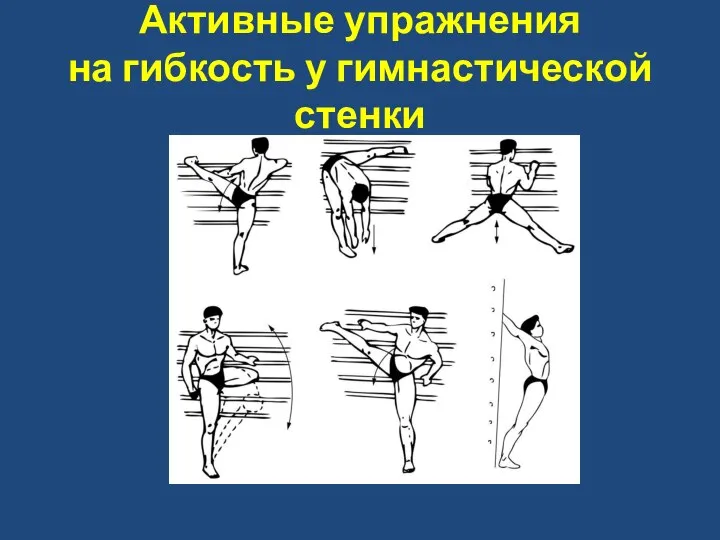 Активные упражнения на гибкость у гимнастической стенки