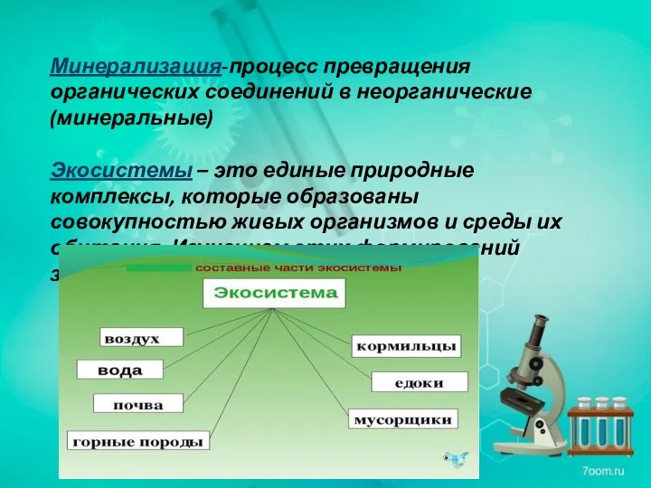 Минерализация-процесс превращения органических соединений в неорганические(минеральные) Экосистемы – это единые природные