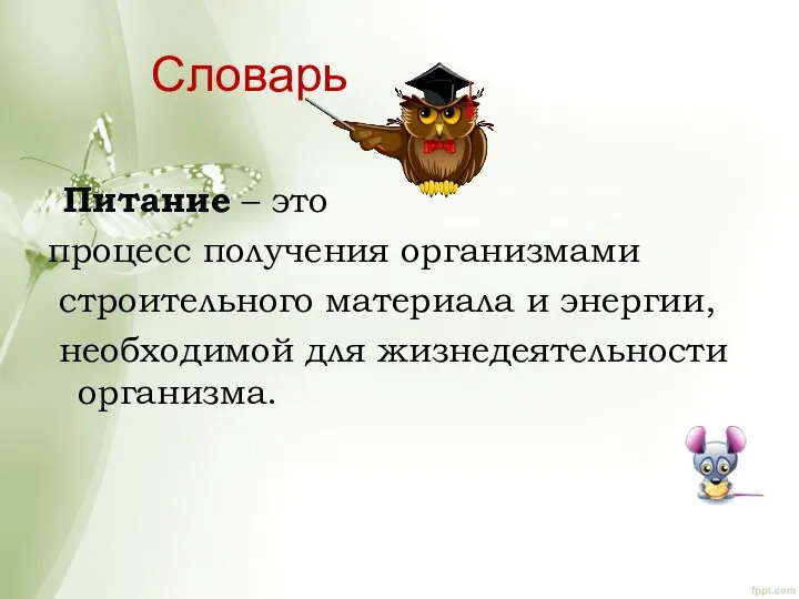 Словарь Питание – это процесс получения организмами строительного материала и энергии, необходимой для жизнедеятельности организма.