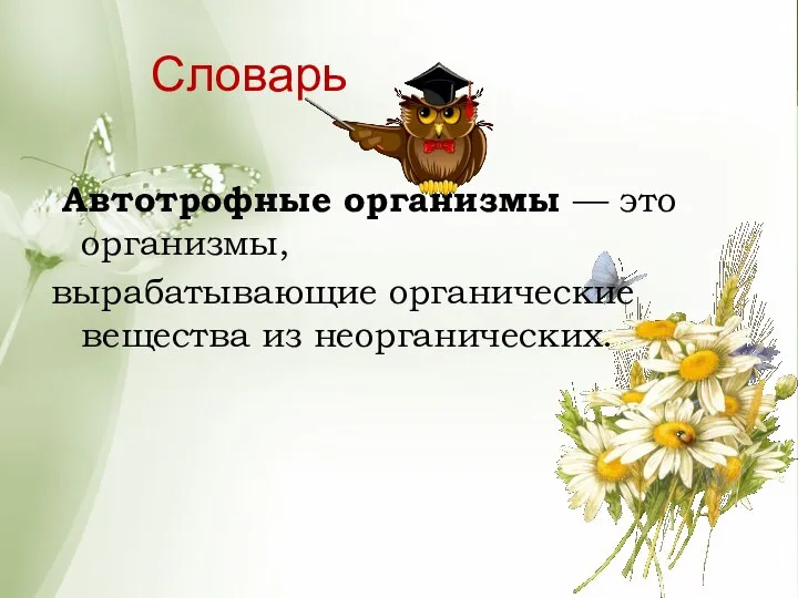 Словарь Автотрофные организмы — это организмы, вырабатывающие органические вещества из неорганических.