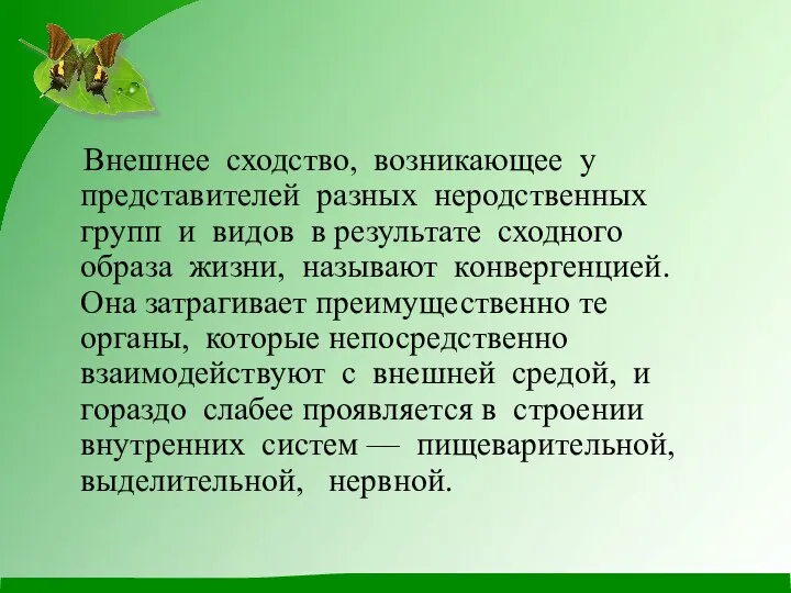 Внешнее сходство, возникающее у представителей разных неродственных групп и видов в