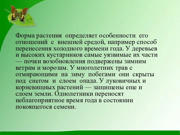 Форма растения определяет особенности его отношений с внешней средой, например способ