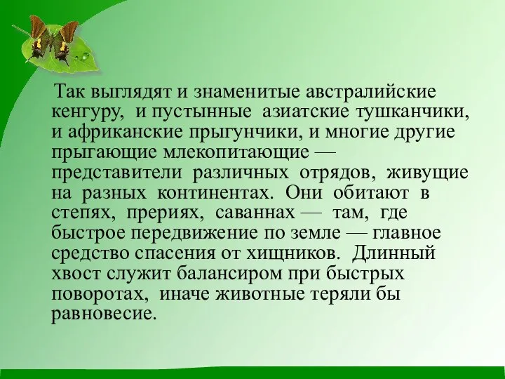 Так выглядят и знаменитые австралийские кенгуру, и пустынные азиатские тушканчики, и