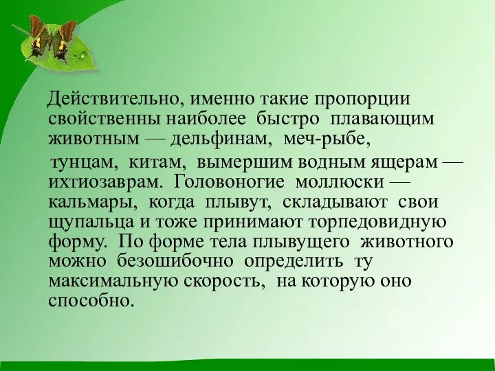 Действительно, именно такие пропорции свойственны наиболее быстро плавающим животным — дельфинам,