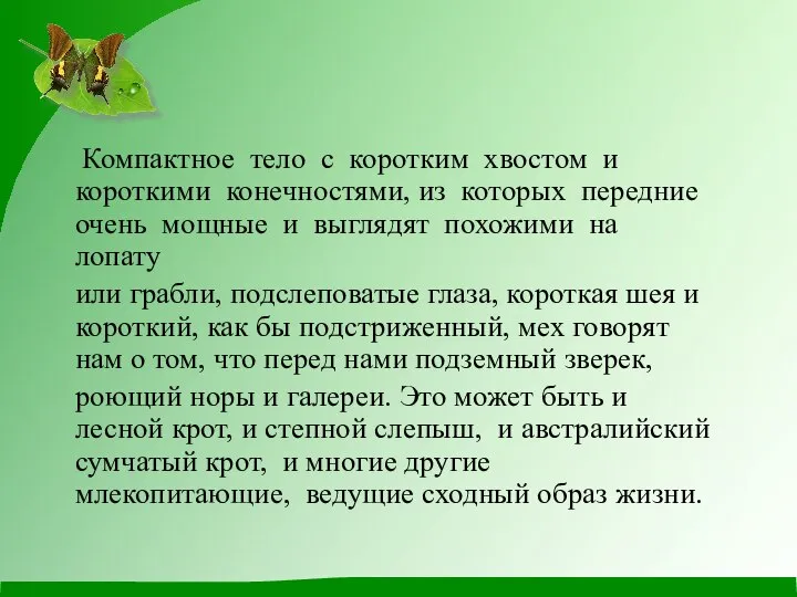 Компактное тело с коротким хвостом и короткими конечностями, из которых передние