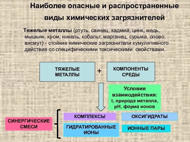 Наиболее опасные и распространенные виды химических загрязнителей Тяжелые металлы (ртуть, свинец,