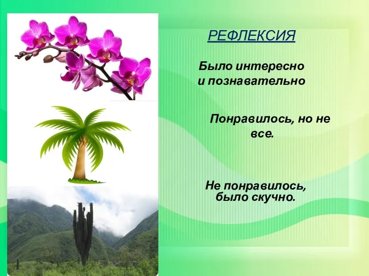 Понравилось, но не все. Не понравилось, было скучно. РЕФЛЕКСИЯ Было интересно и познавательно