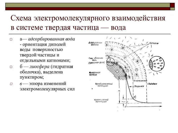 Схема электромолекулярного взаимодействия в системе твердая частица — вода а— адсорбированная