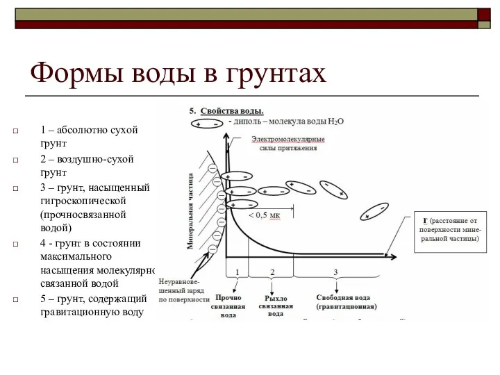 Формы воды в грунтах 1 – абсолютно сухой грунт 2 –