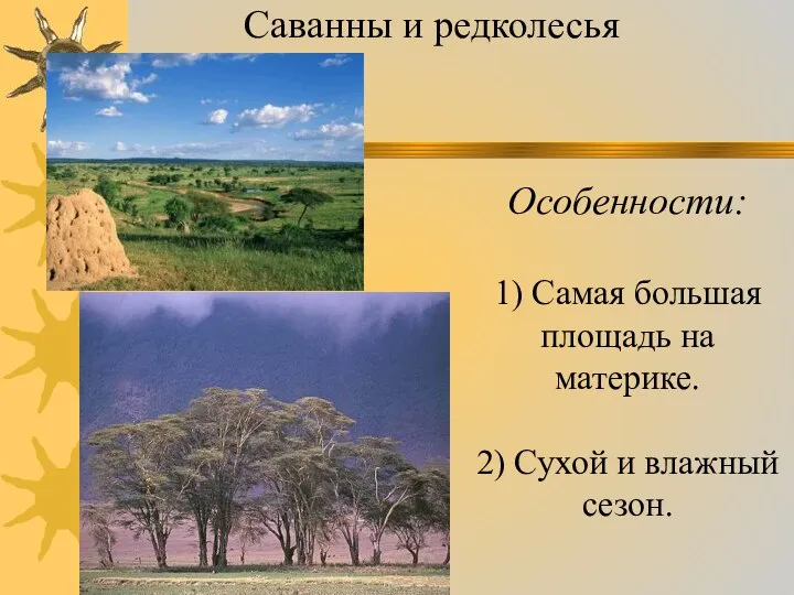 Особенности: 1) Самая большая площадь на материке. 2) Сухой и влажный сезон. Саванны и редколесья