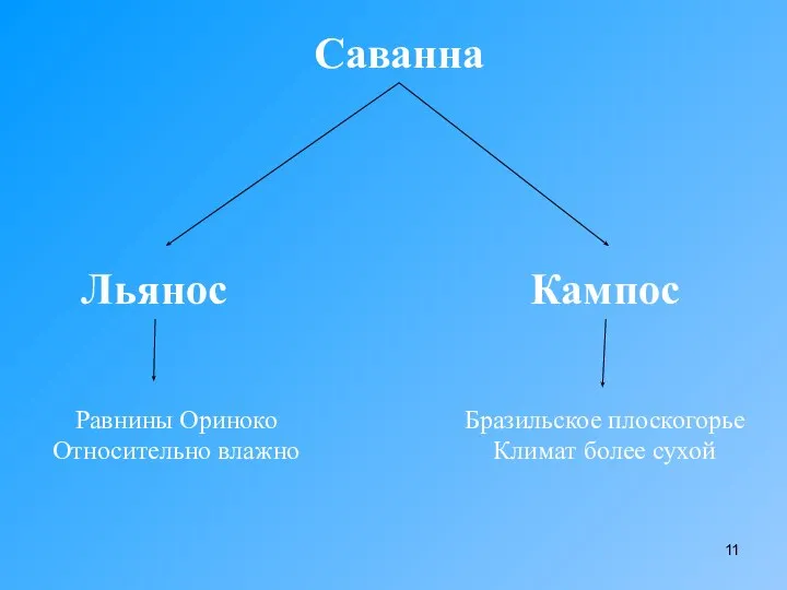 Саванна Льянос Кампос Равнины Ориноко Относительно влажно Бразильское плоскогорье Климат более сухой