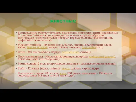 животные В заповеднике обитает большое количество животных, птиц и насекомых. Отличием