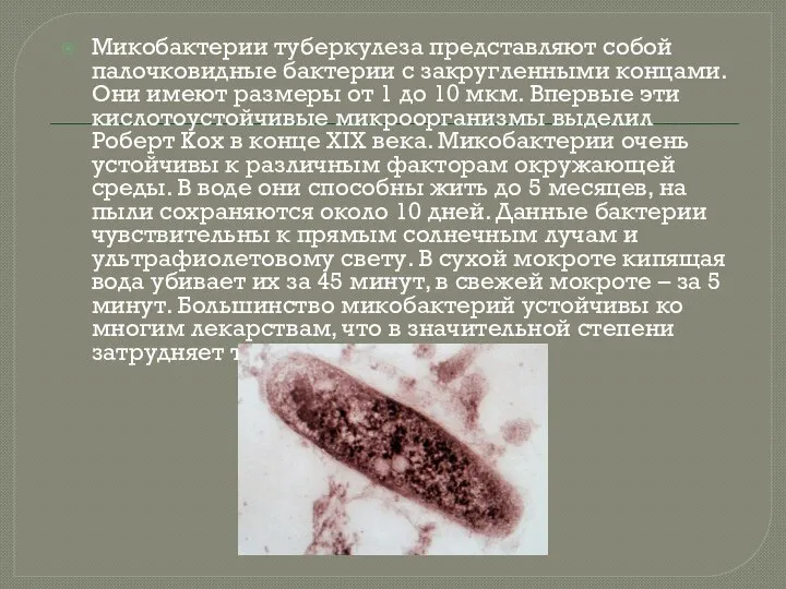 Микобактерии туберкулеза представляют собой палочковидные бактерии с закругленными концами. Они имеют