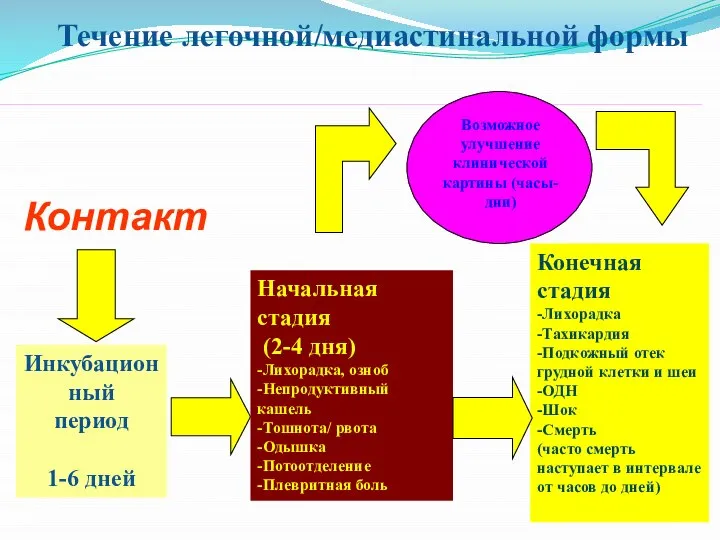 Течение легочной/медиастинальной формы Инкубационный период 1-6 дней Конечная стадия -Лихорадка -Тахикардия