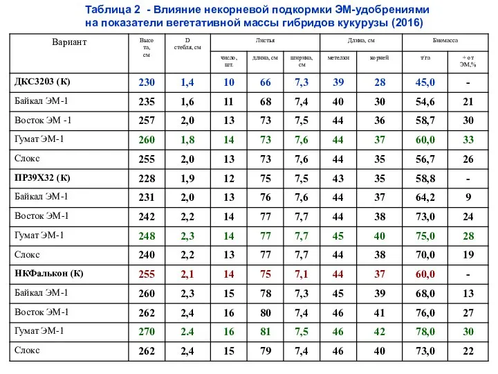 Таблица 2 - Влияние некорневой подкормки ЭМ-удобрениями на показатели вегетативной массы гибридов кукурузы (2016)